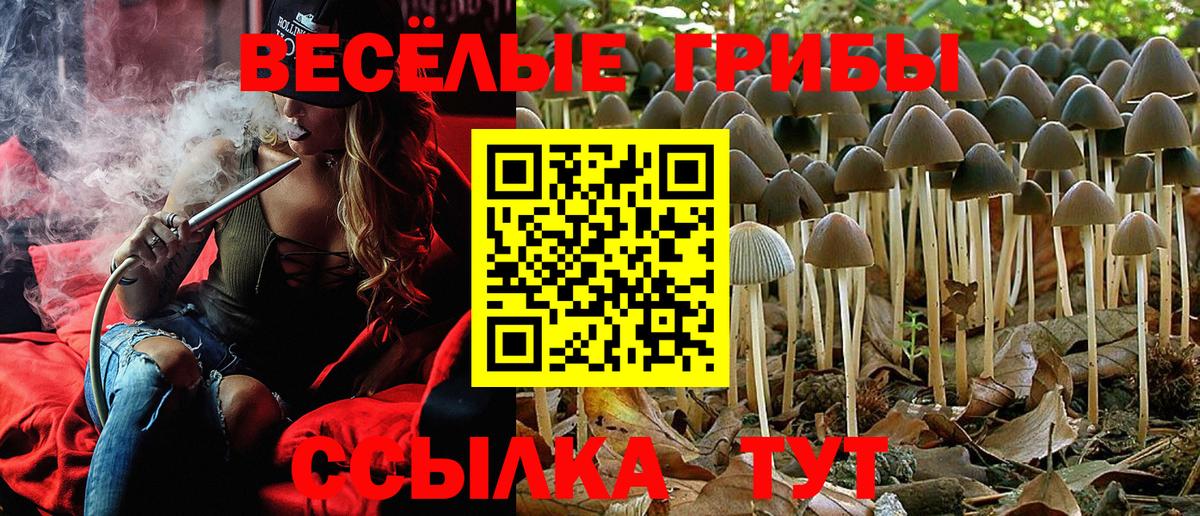Псилоцибиновые грибы мицелий Алушта